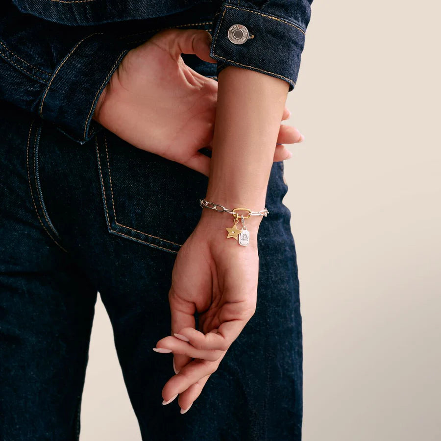 CONNECT BICOLOUR LINK CHARM BRACELET