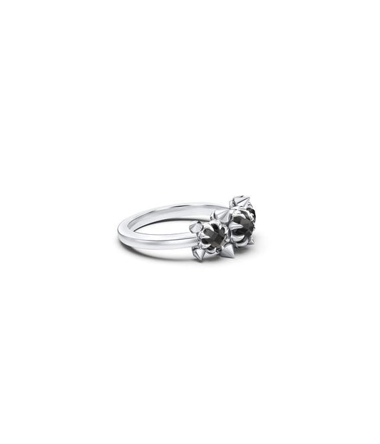 METASOMA CLUSTER RING
