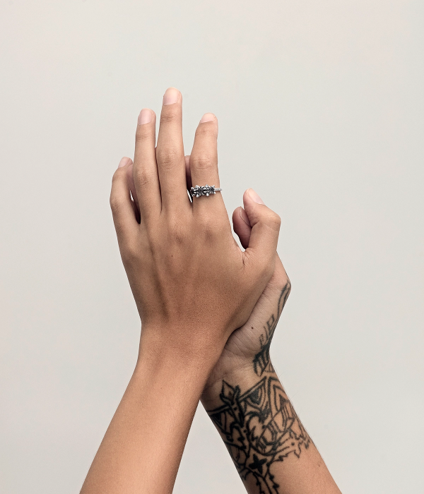 METASOMA CLUSTER RING