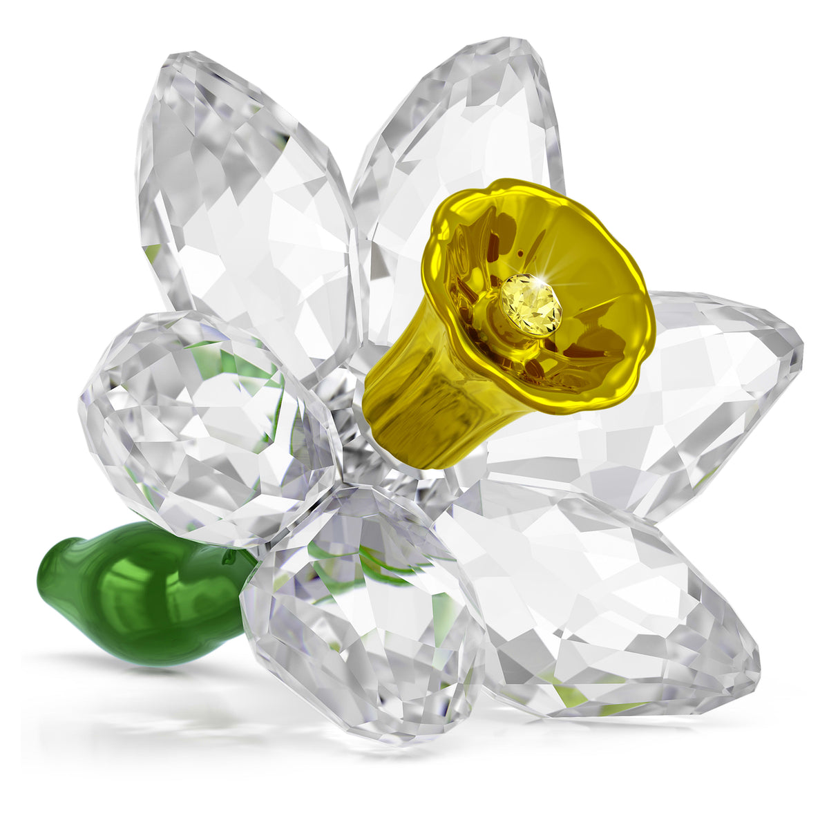 FLORERE: DAFFODIL