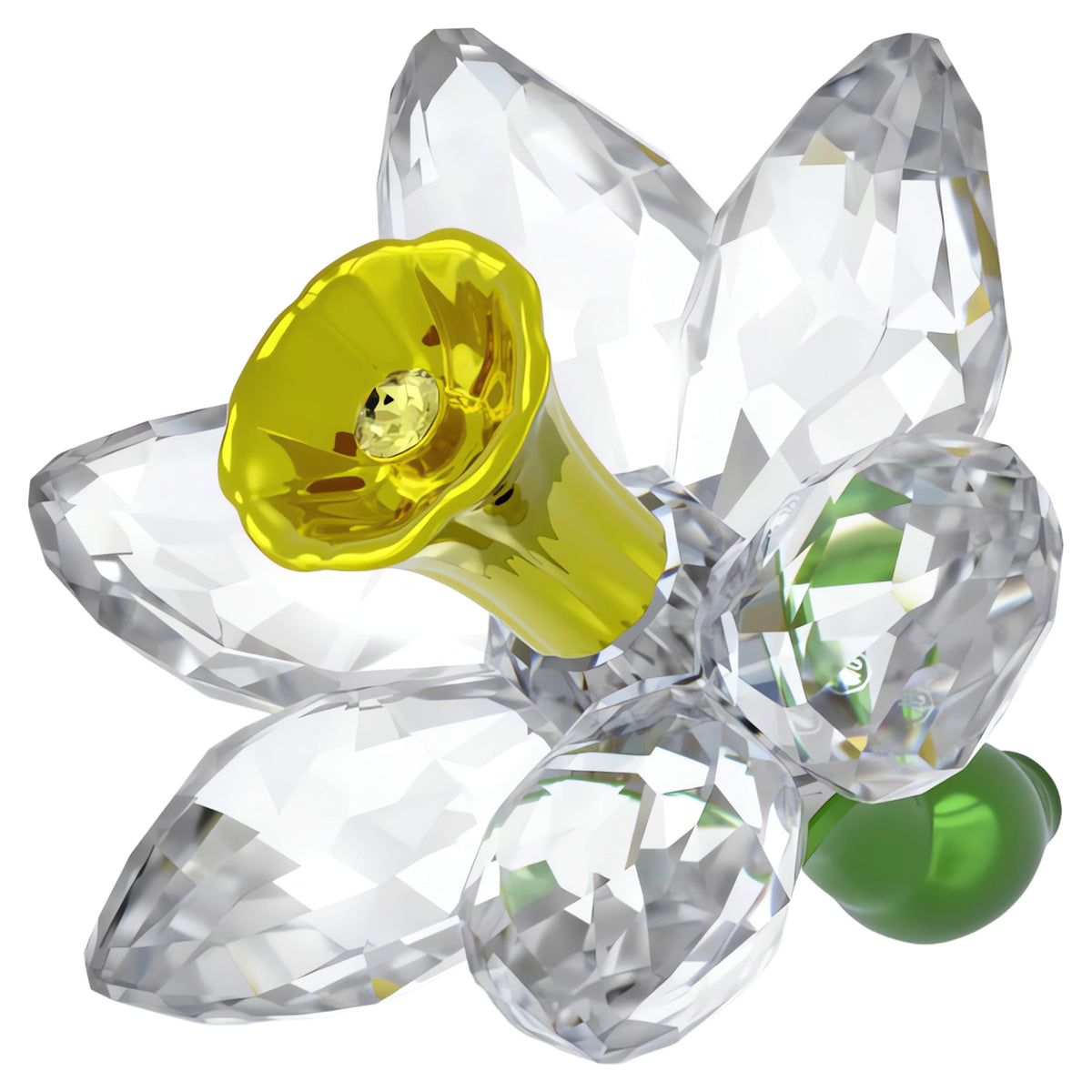 FLORERE: DAFFODIL