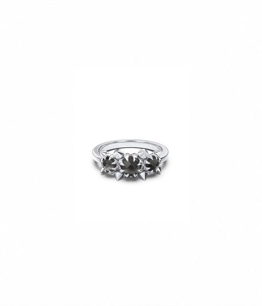 METASOMA CLUSTER RING