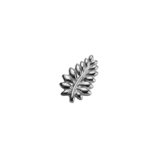 NZ FERN - LOYAL STOW CHARM