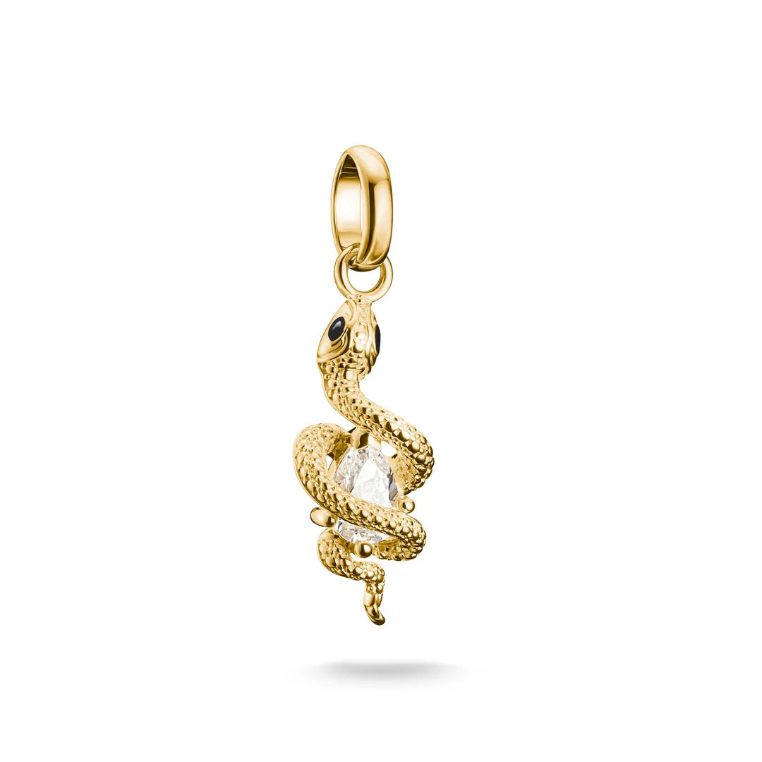 CONNECT SNAKE CHARM