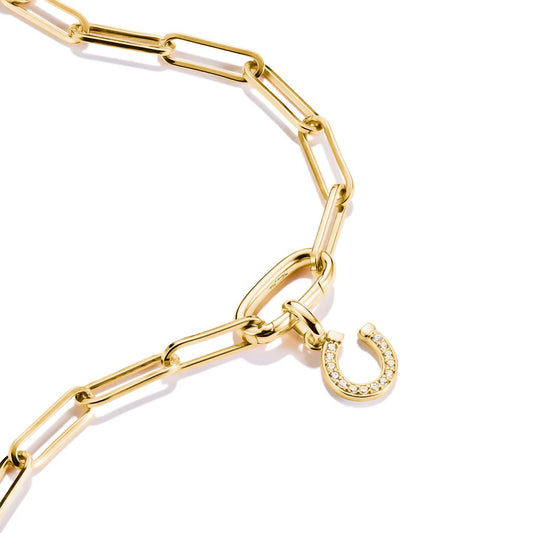 CONNECT HORSESHOE CHARM
