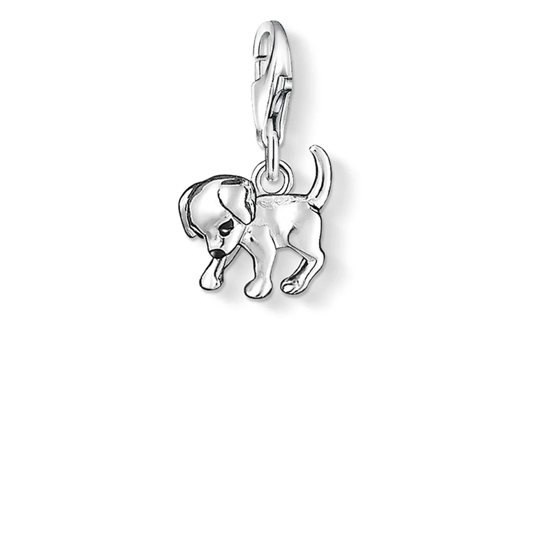 CHARM CLUB PUPPY