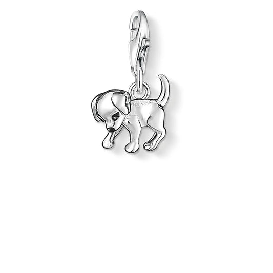 CHARM CLUB PUPPY