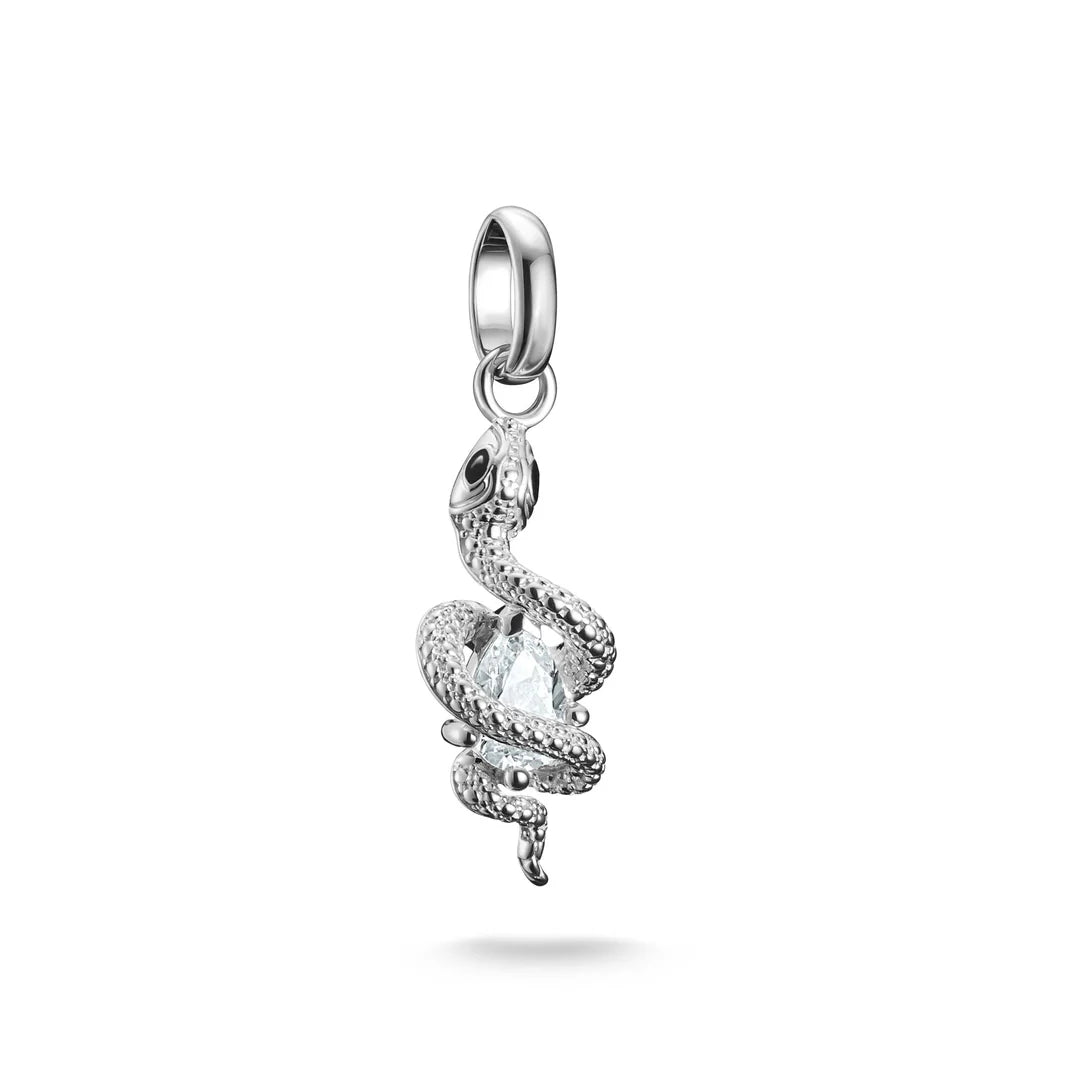 CONNECT SNAKE CHARM