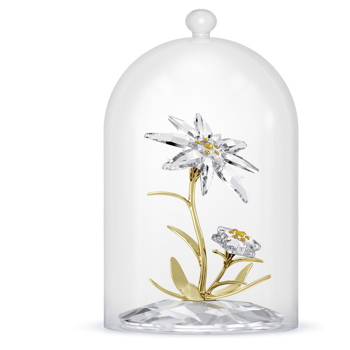 FLORERE 130TH ANNIVERSARY BELL JAR