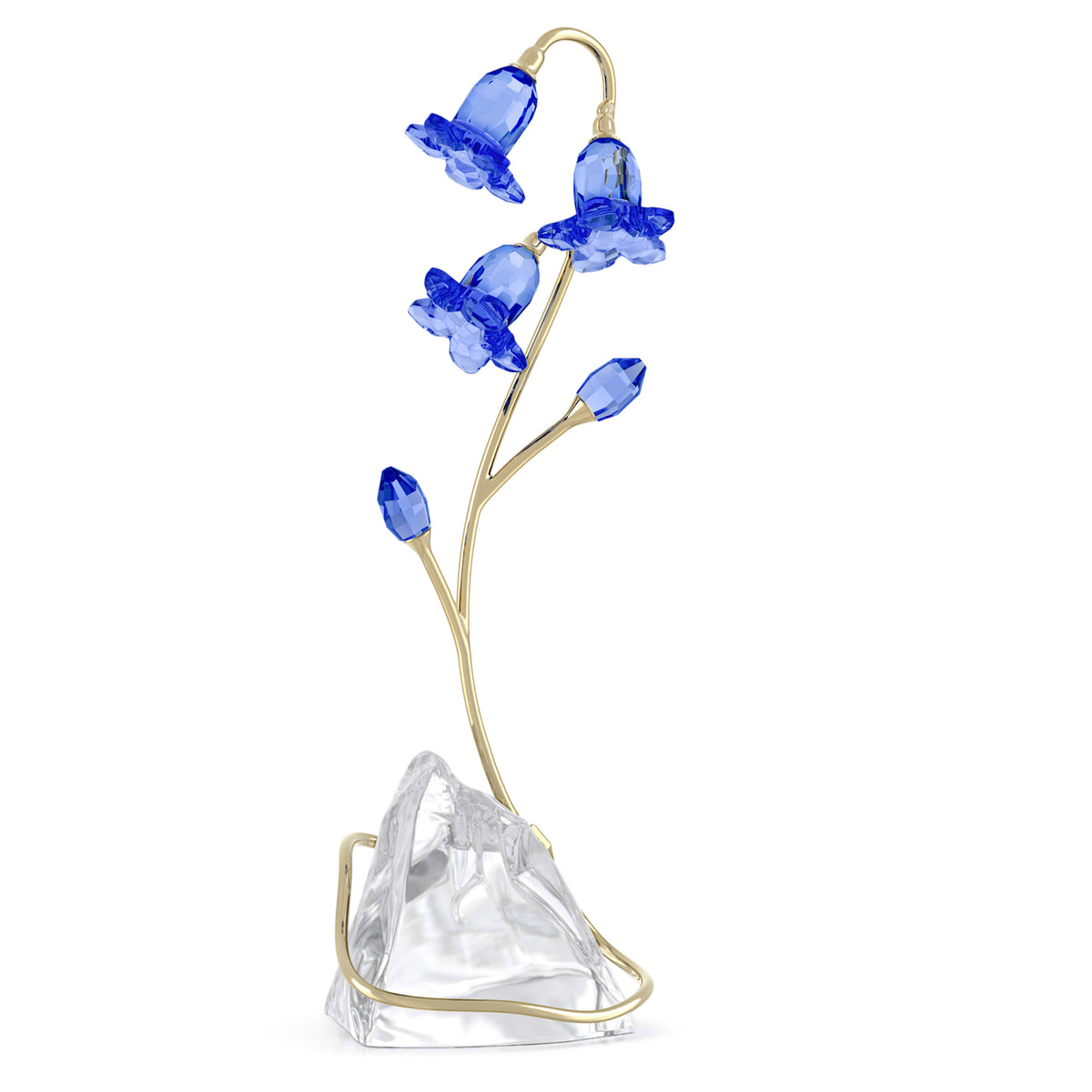 FLORERE: BLUE BELLFLOWER