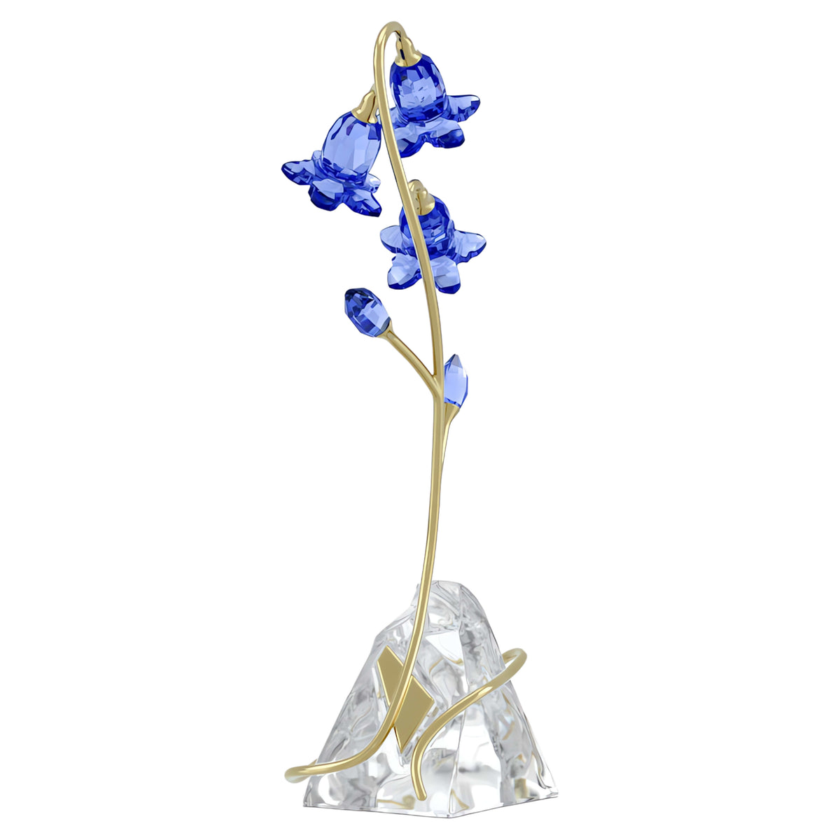 FLORERE: BLUE BELLFLOWER