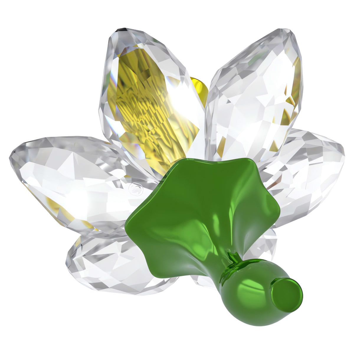 FLORERE: DAFFODIL