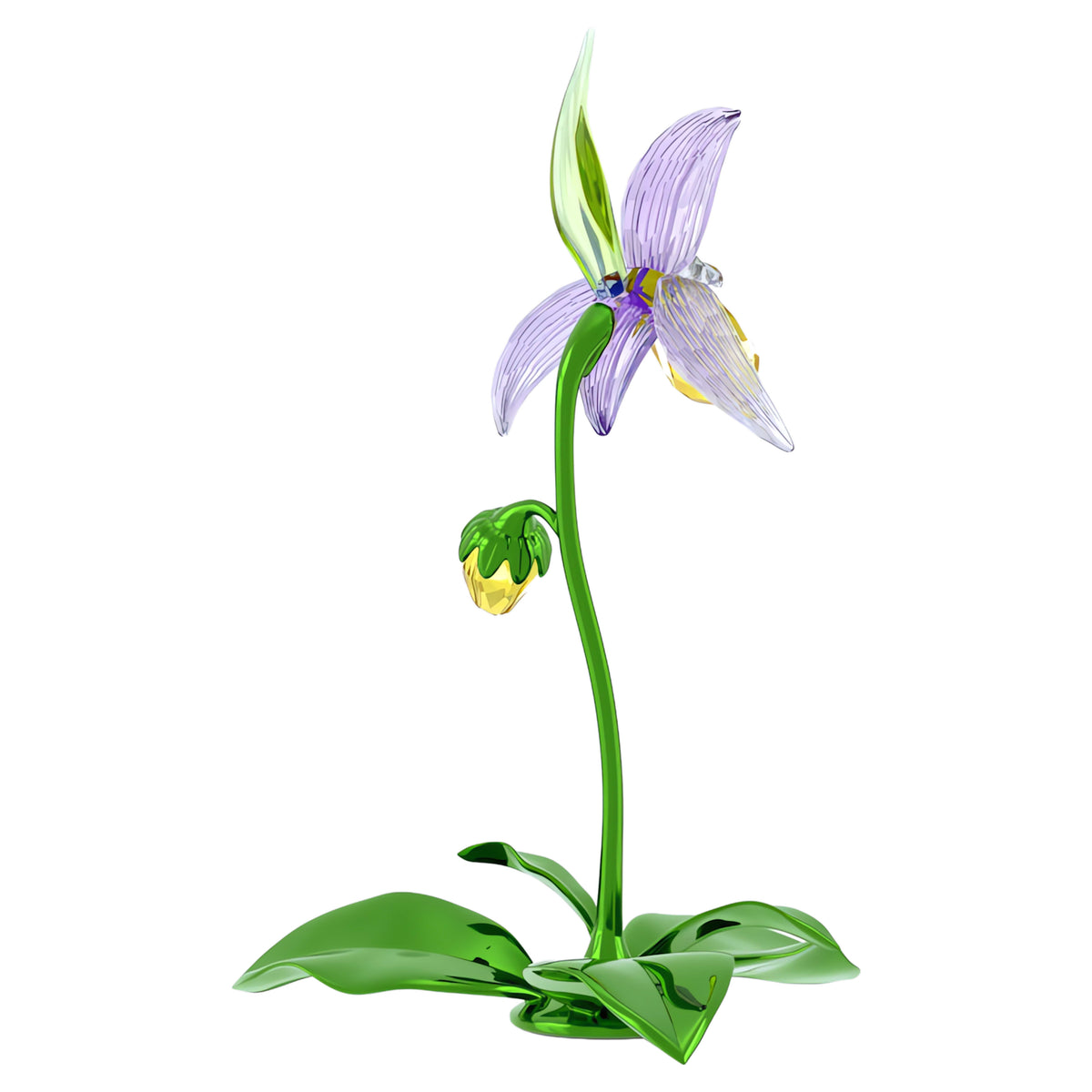FLORERE: LADY SLIPPER ORCHID