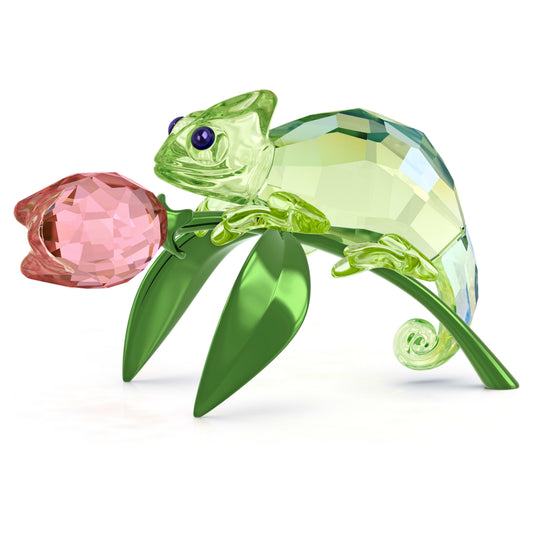 IDYLLIA CHAMELEON AND TULIP