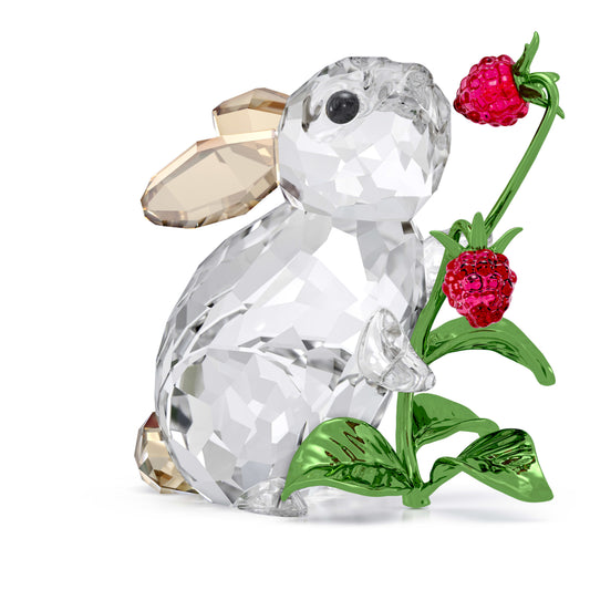 IDYLLIA RABBIT AND RASPBERRIES