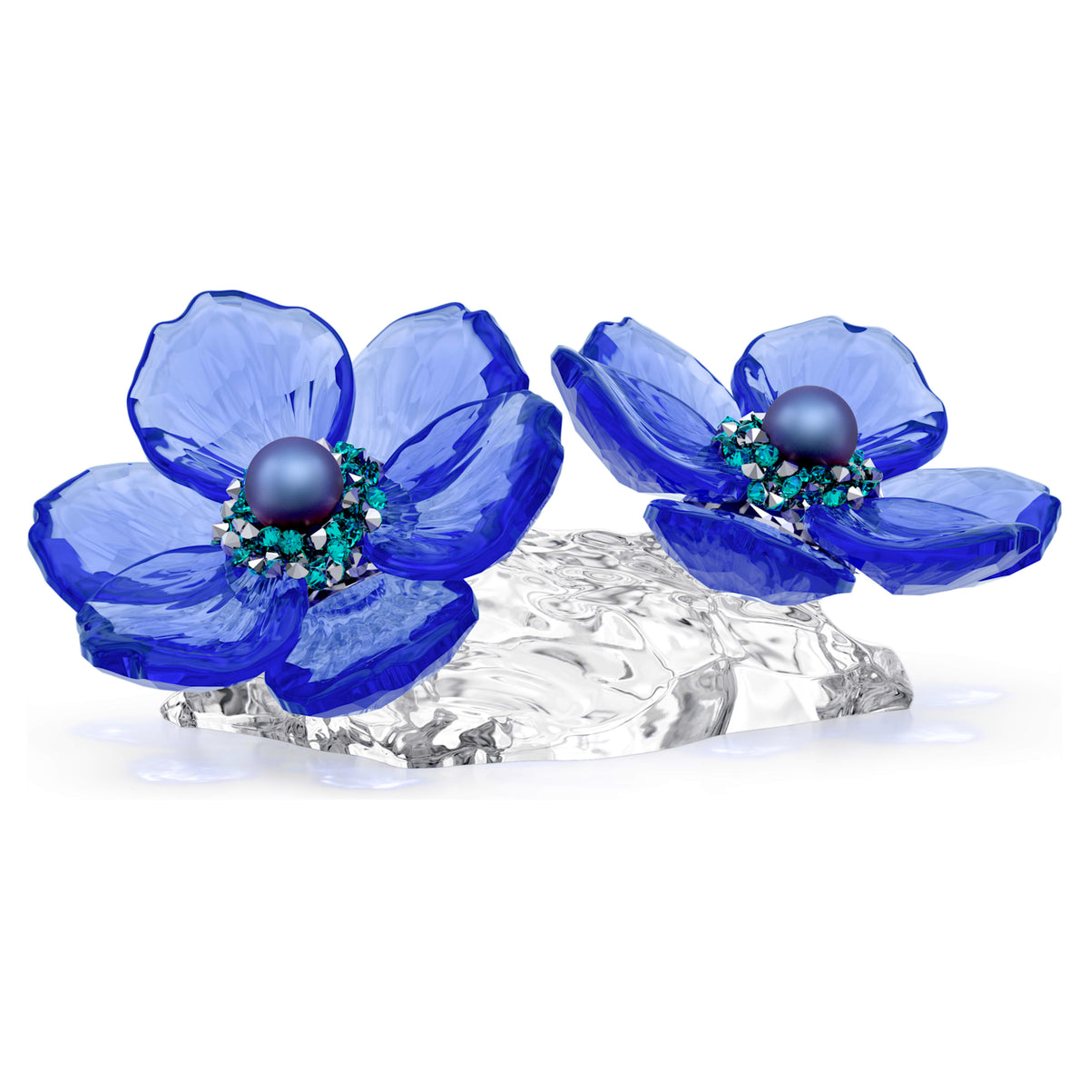 IDYLLIA SCS ANEMONE CORONARIA FLOWER