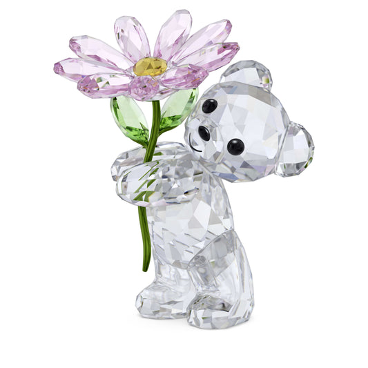 KRIS BEAR - A DAISY FOR YOU