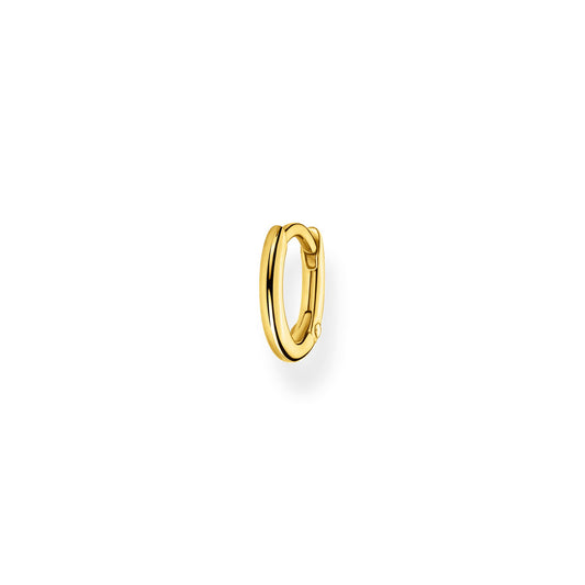 CHARMING COLLECTION HOOP EARRING SINGLE